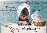 Александра Александровна Демичева