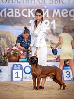 Анна Сергеевна Арефьева